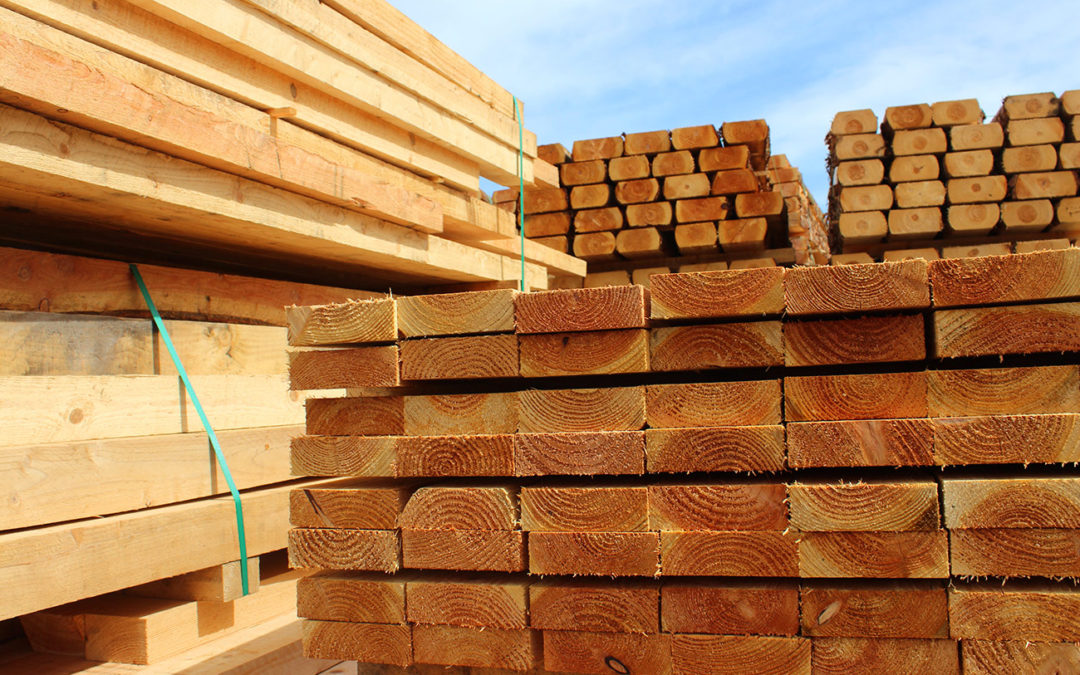 Wholesale Lumber & Panels